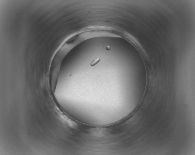 X0000080661236200612151123