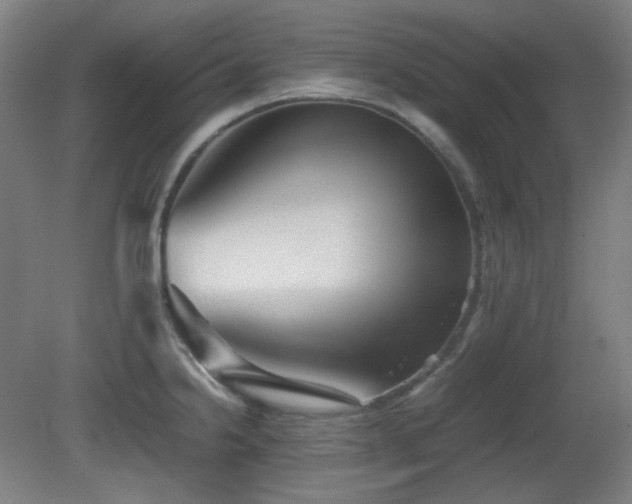 X0000080661238200612151123