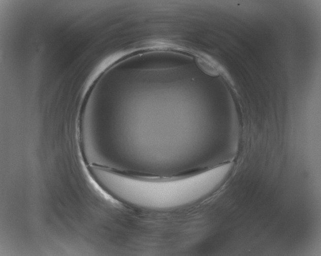 X0000080661239200612151123