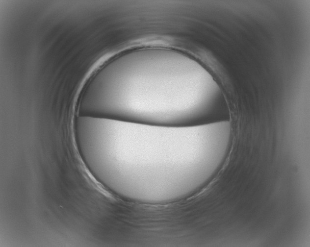 X0000080661240200612151123