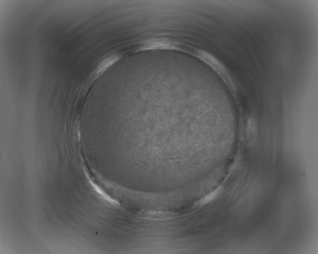 X0000080661241200612151123