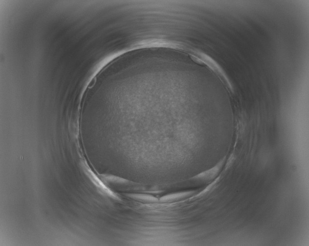 X0000080661244200612151123