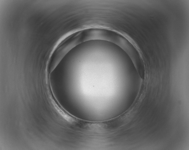 X0000080661246200612151123