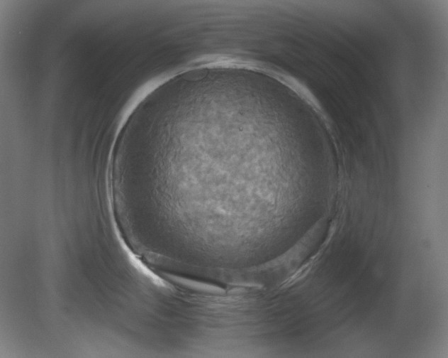 X0000080661247200612151123