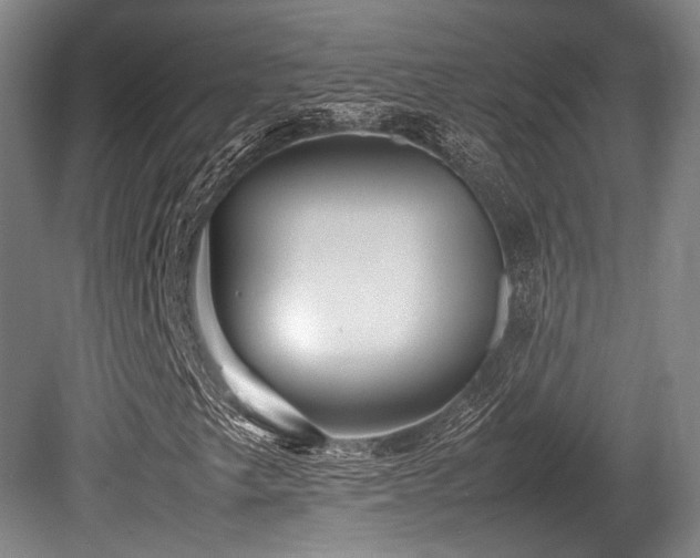 X0000080661249200612151122