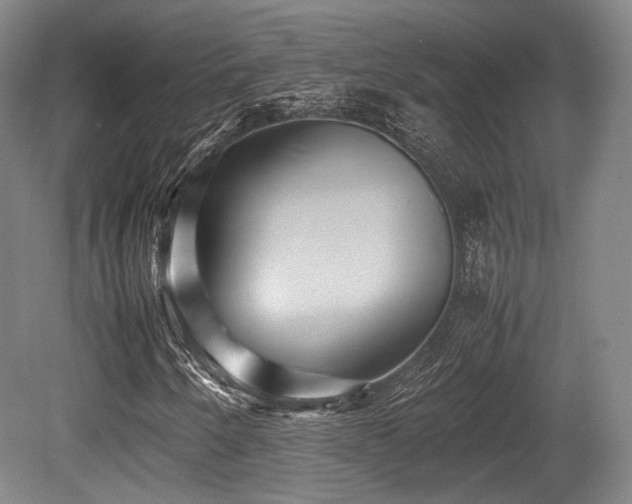 X0000080661250200612151122