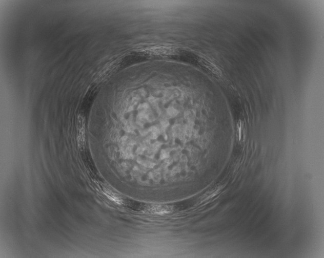 X0000080661251200612151122