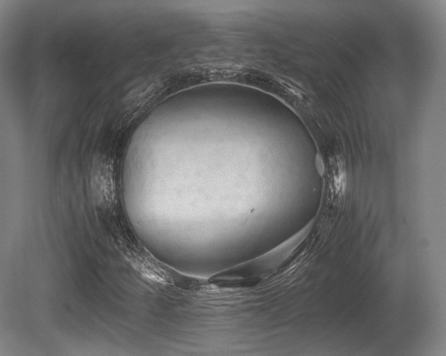 X0000080661252200612151122