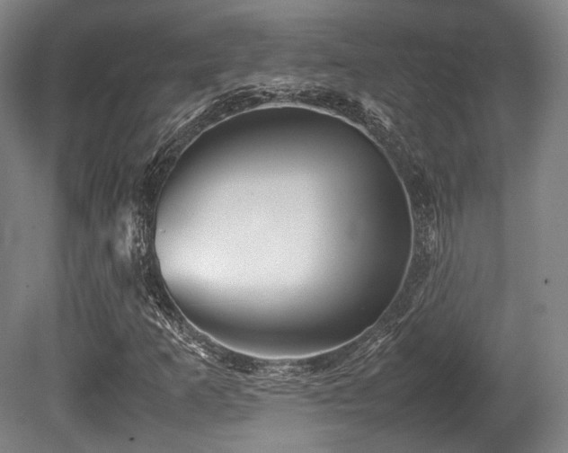 X0000080661253200612151122