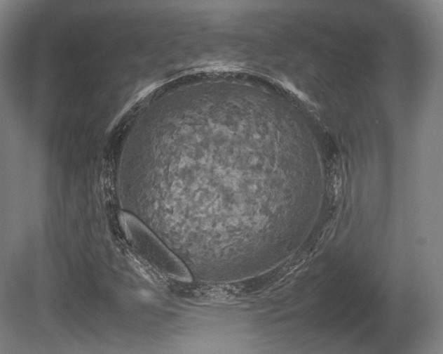 X0000080661255200612151122