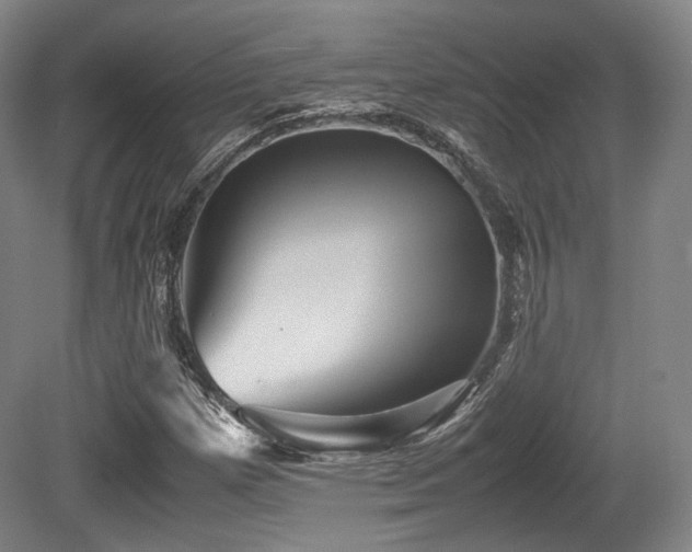 X0000080661257200612151122
