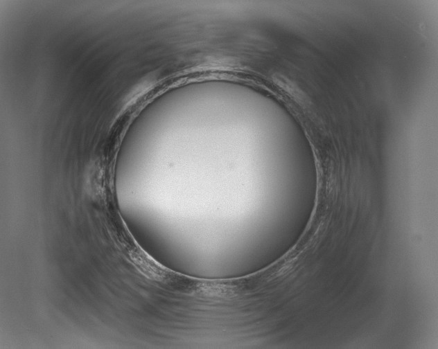X0000080661258200612151122