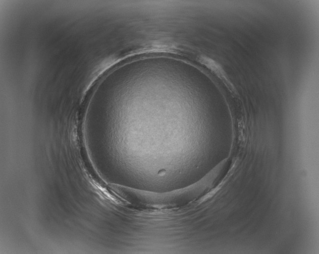 X0000080661260200612151122