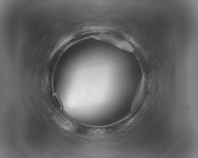X0000080661261200612151122