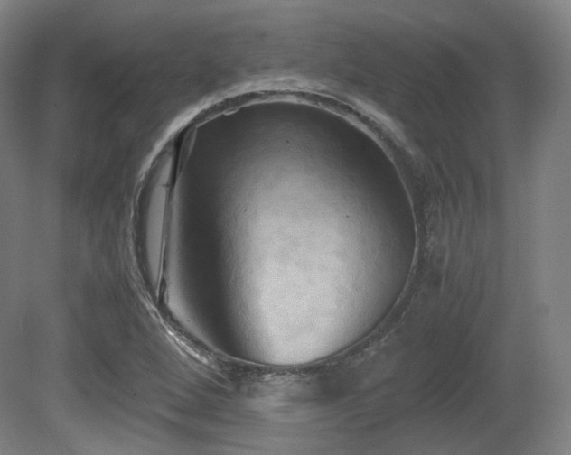 X0000080661264200612151122