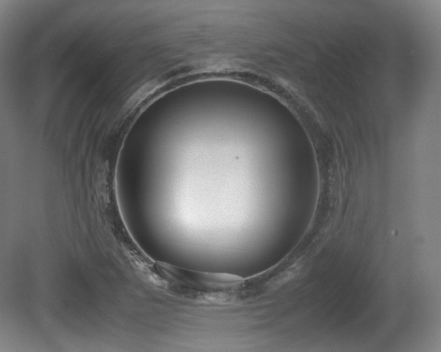 X0000080661265200612151122