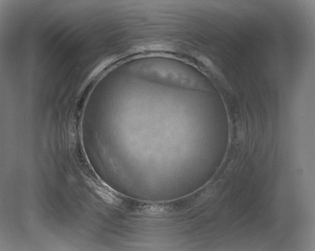 X0000080661266200612151122
