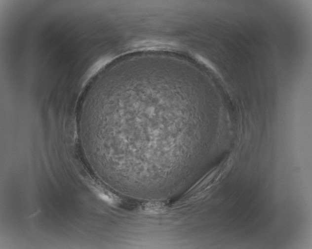 X0000080661267200612151122
