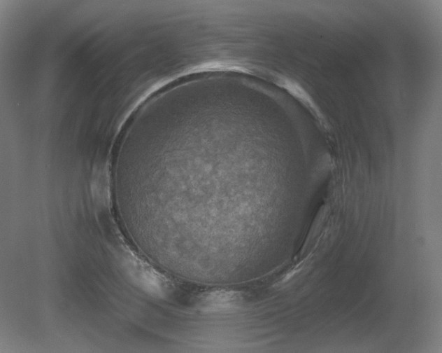 X0000080661268200612151122