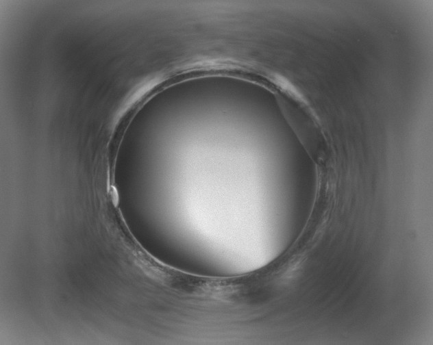 X0000080661269200612151122