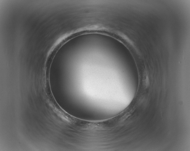 X0000080661270200612151122
