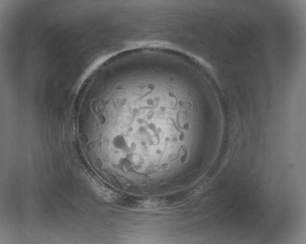 X0000080661271200612151122