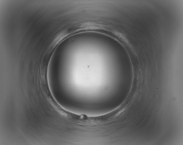 X0000080661273200612151122