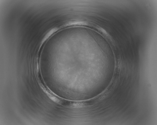 X0000080661274200612151122