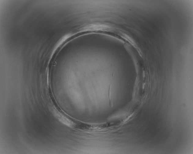 X0000080661275200612151122