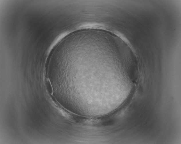 X0000080661277200612151122