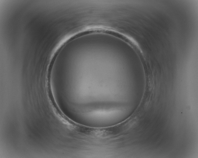 X0000080661279200612151122