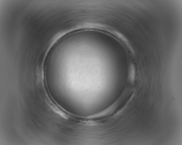 X0000080661280200612151122