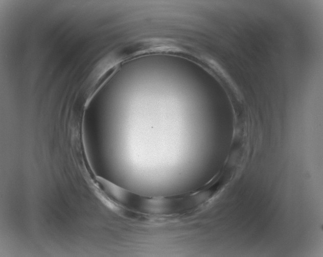 X0000080661281200612151121