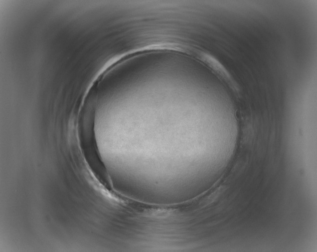 X0000080661284200612151121
