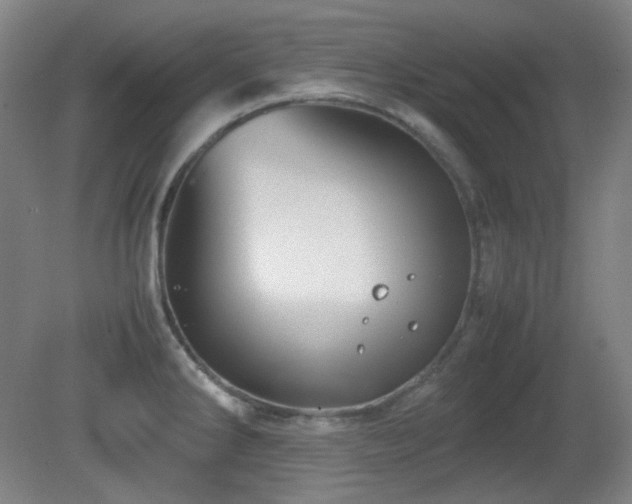X0000080661286200612151121