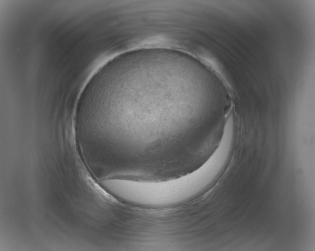X0000080661288200612151121