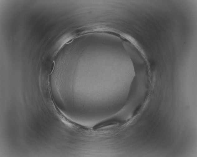 X0000080661289200612151121