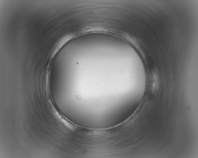 X0000080661290200612151121