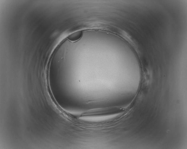 X0000080661291200612151121