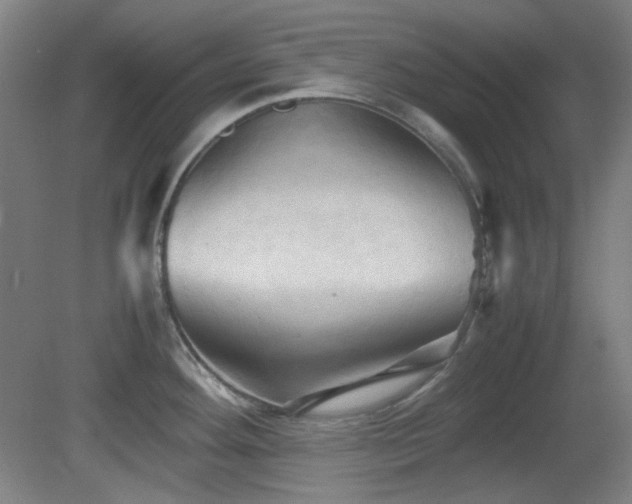 X0000080661292200612151121