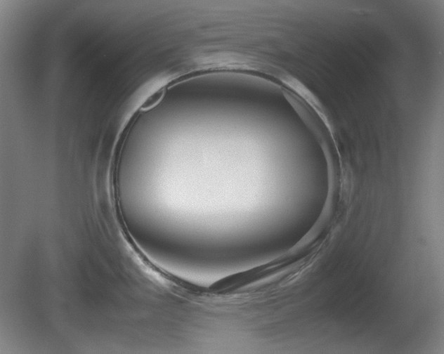 X0000080661293200612151121