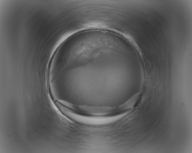 X0000080661295200612151121