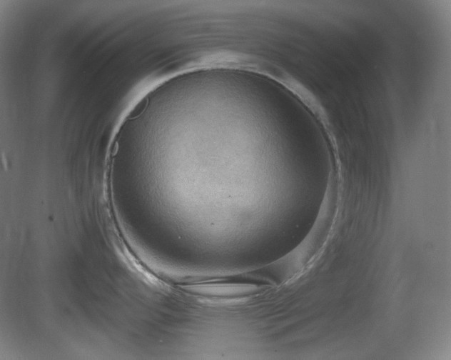 X0000080661296200612151121