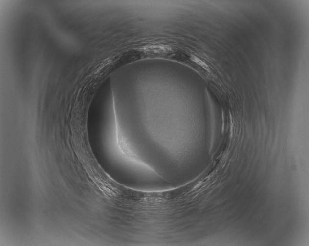 X0000080661297200612151120