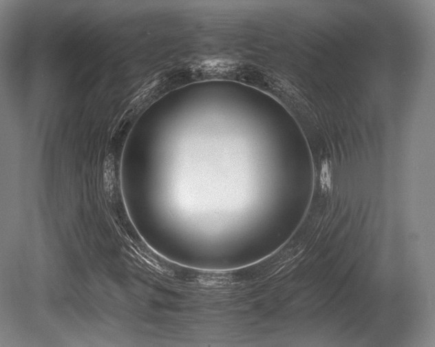 X0000080661299200612151120