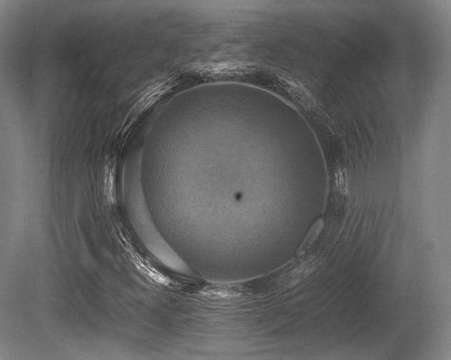 X0000080661300200612151120