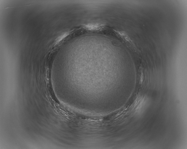 X0000080661301200612151120
