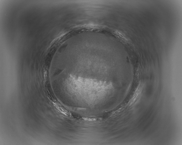 X0000080661302200612151121