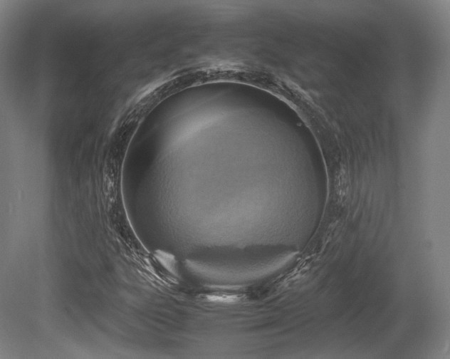 X0000080661303200612151121