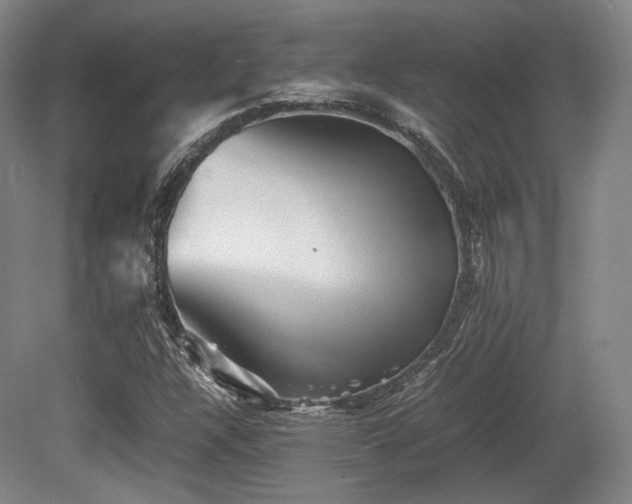 X0000080661304200612151121